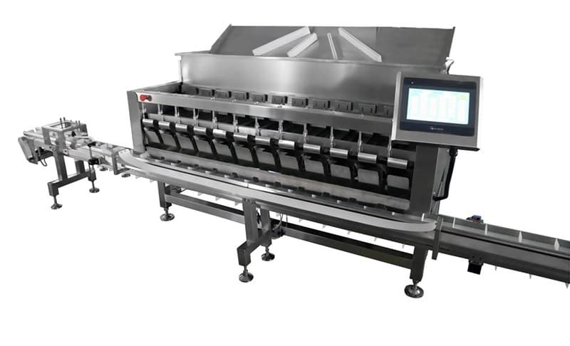 blueberry packing line.jpg